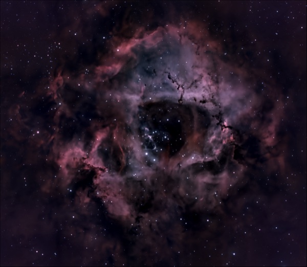 Rosette A