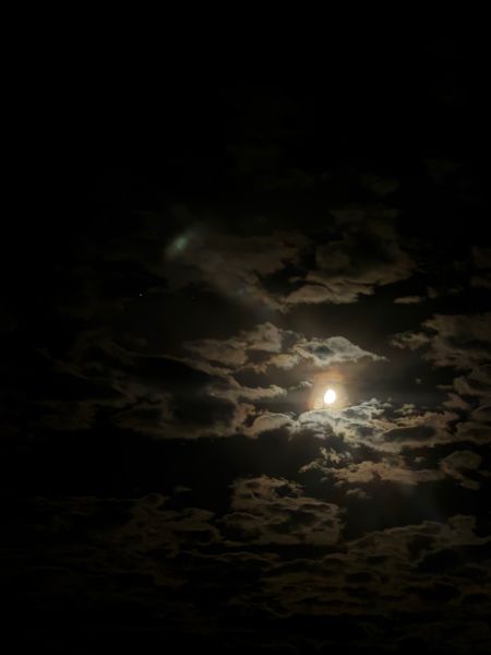 IMG_7115.jpg