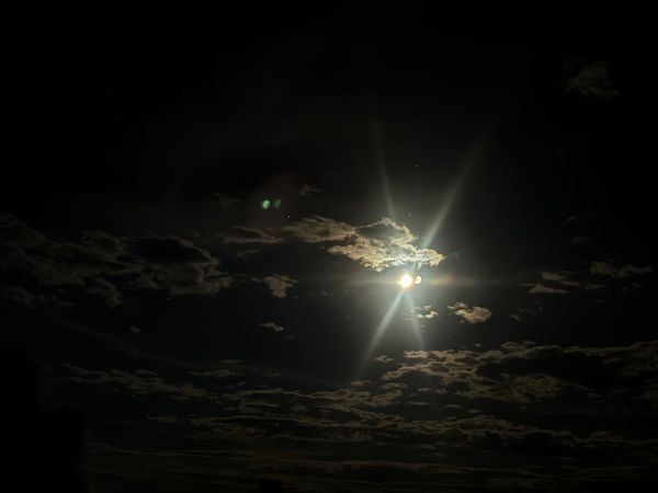 IMG_7117.jpg