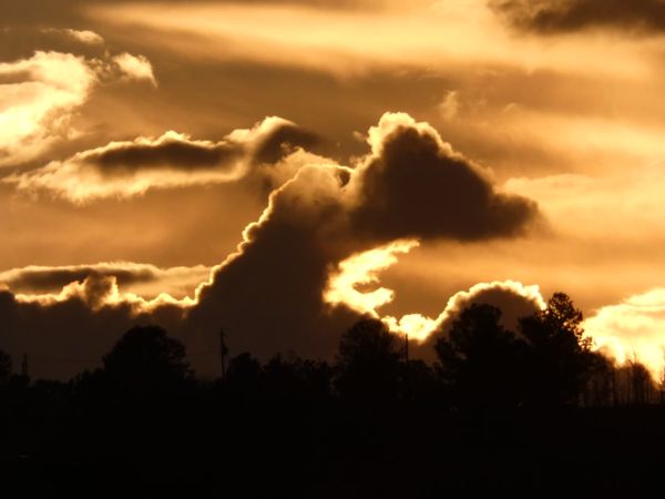 P1000839.jpg